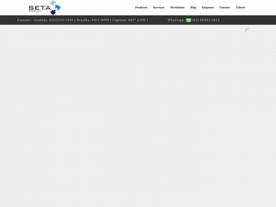 setasistemas.com.br snapshot