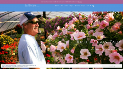 blueribbonfarmlongmont.com snapshot