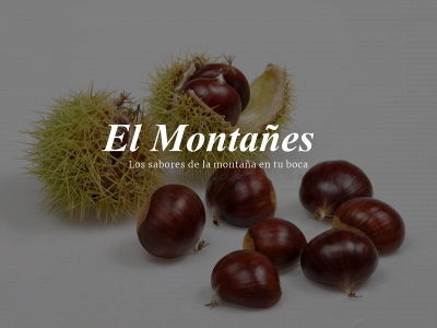 elmontañes.com snapshot