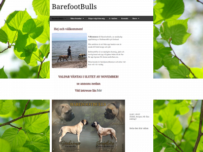 barefootbulls.se snapshot