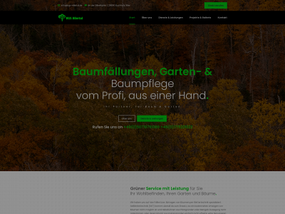 bgs-allertal.de snapshot