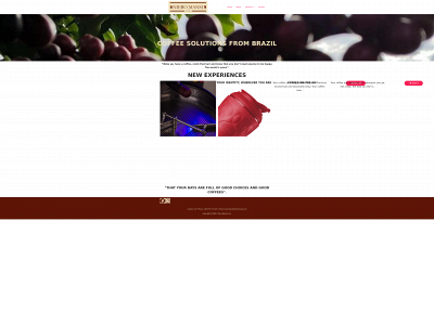 nieromansi.com snapshot