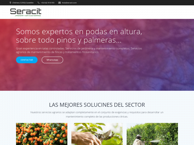 seracit.com snapshot