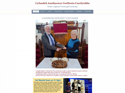 cyfundeb.com snapshot