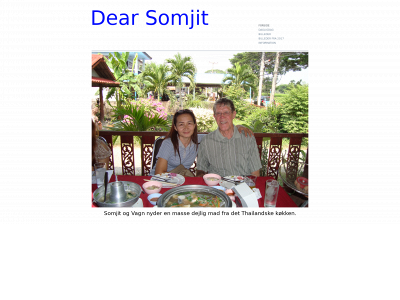 40308473.dk snapshot