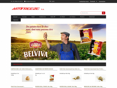 artifreeze.be snapshot