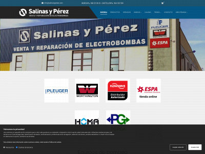 salinasyperez.es snapshot