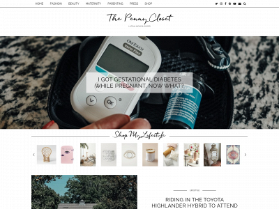 thepennycloset.com snapshot