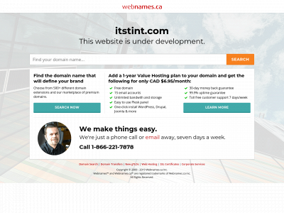 itstint.com snapshot
