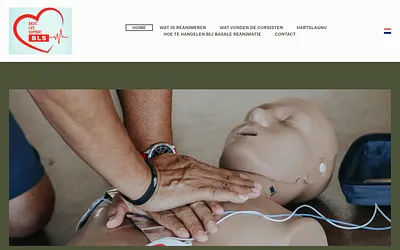 pblscursus.nl snapshot