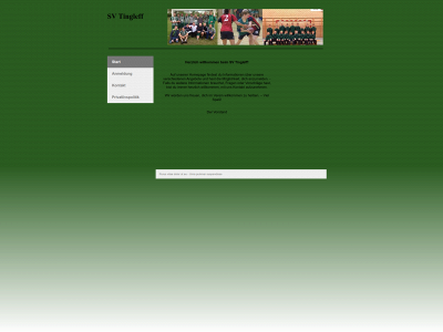 svtingleff.dk snapshot