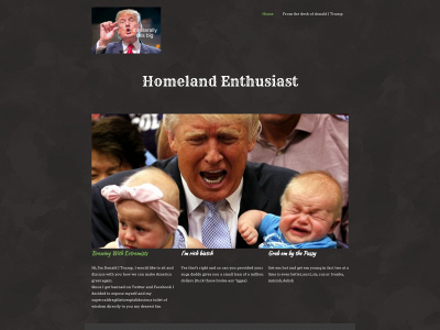 donaldjtrump.energy snapshot