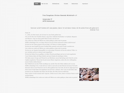 fecg-michelstadt.de snapshot