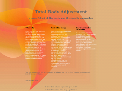 totalbodyadjustment.be snapshot