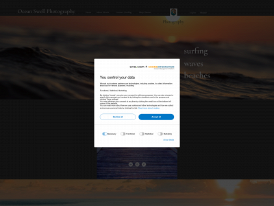 oceanswell.co snapshot