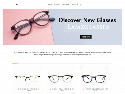 lamzglasses.co.uk snapshot