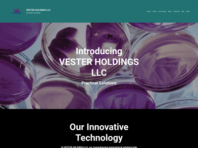 vesterholdings.com snapshot