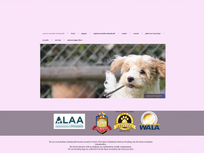 australian-labradoodle.nu snapshot