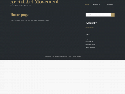 aerialartmovement.com snapshot