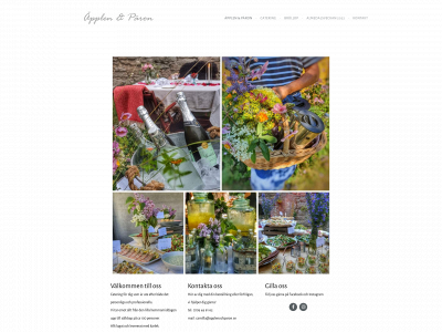 applenochparon.se snapshot