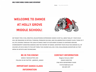 hollygrovedance.weebly.com snapshot