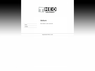 tegelzetbedrijftheo.nl snapshot
