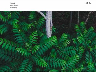tcr.earth snapshot