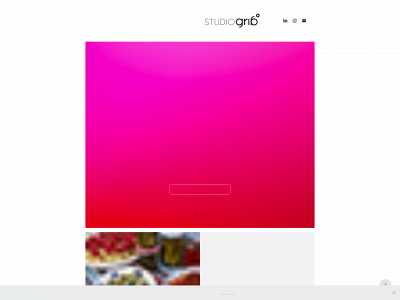 studiogrib.nl snapshot