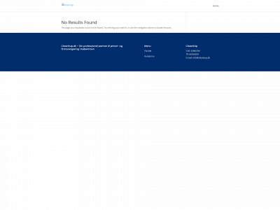 cleanitup.dk snapshot