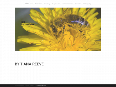 tianasbeeenterprise.weebly.com snapshot