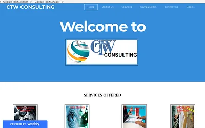 ctwconsulting.weebly.com snapshot