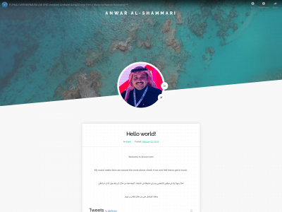 anwar.com snapshot