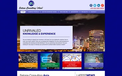 satonaconsulting.com snapshot