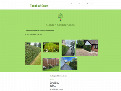 touchofgrassderby.co.uk snapshot