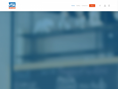 verisafesupplies.com snapshot