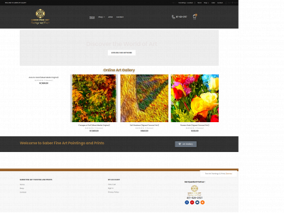 saberartgallery.com snapshot