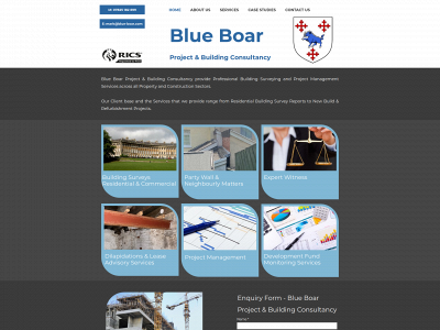 blue-boar.com snapshot