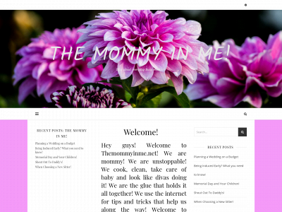themommyinme.net snapshot