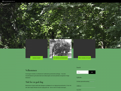 bogoegrundlov.dk snapshot