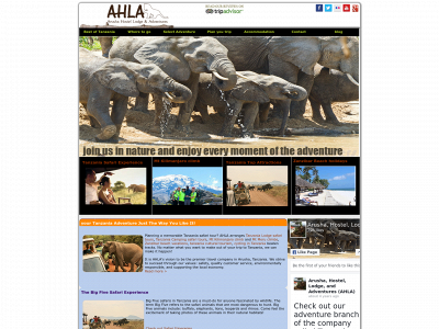 arushahostellodgeandadventures.com snapshot