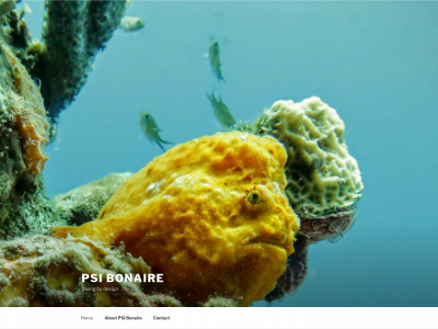 psibonaire.com snapshot