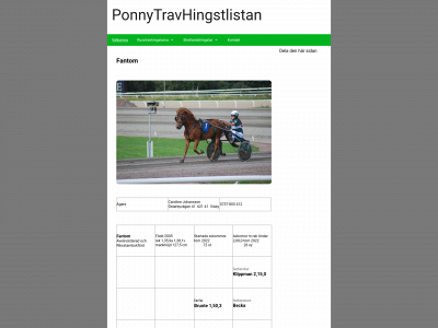 pthlistan.se snapshot