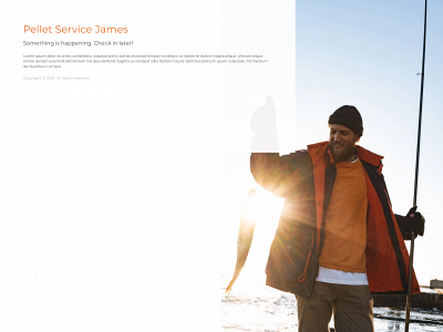 pelletservicejames.be snapshot