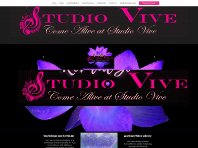 mystudiovive.com snapshot