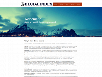 bludaindex.com snapshot