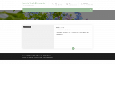 serenity-touch.com snapshot