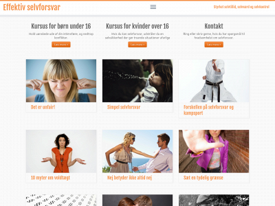effektivselvforsvar.dk snapshot