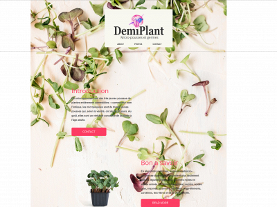 demiplante.fr snapshot