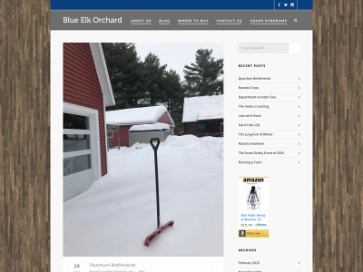 blueelkorchard.com snapshot