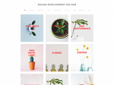 www.designdevelopmentdeliver.com snapshot